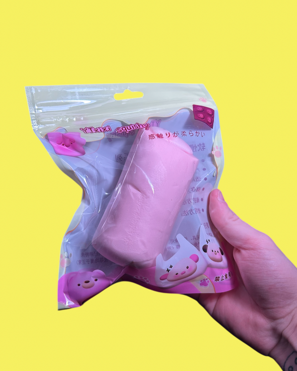 Cat Cakeroll Squishy