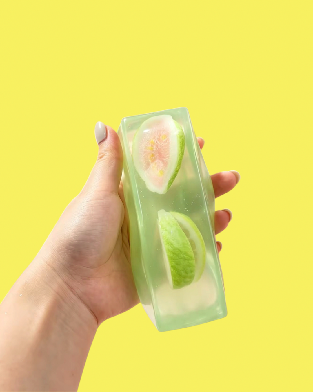 (Jelly Texture) Fruit Bar Squishy