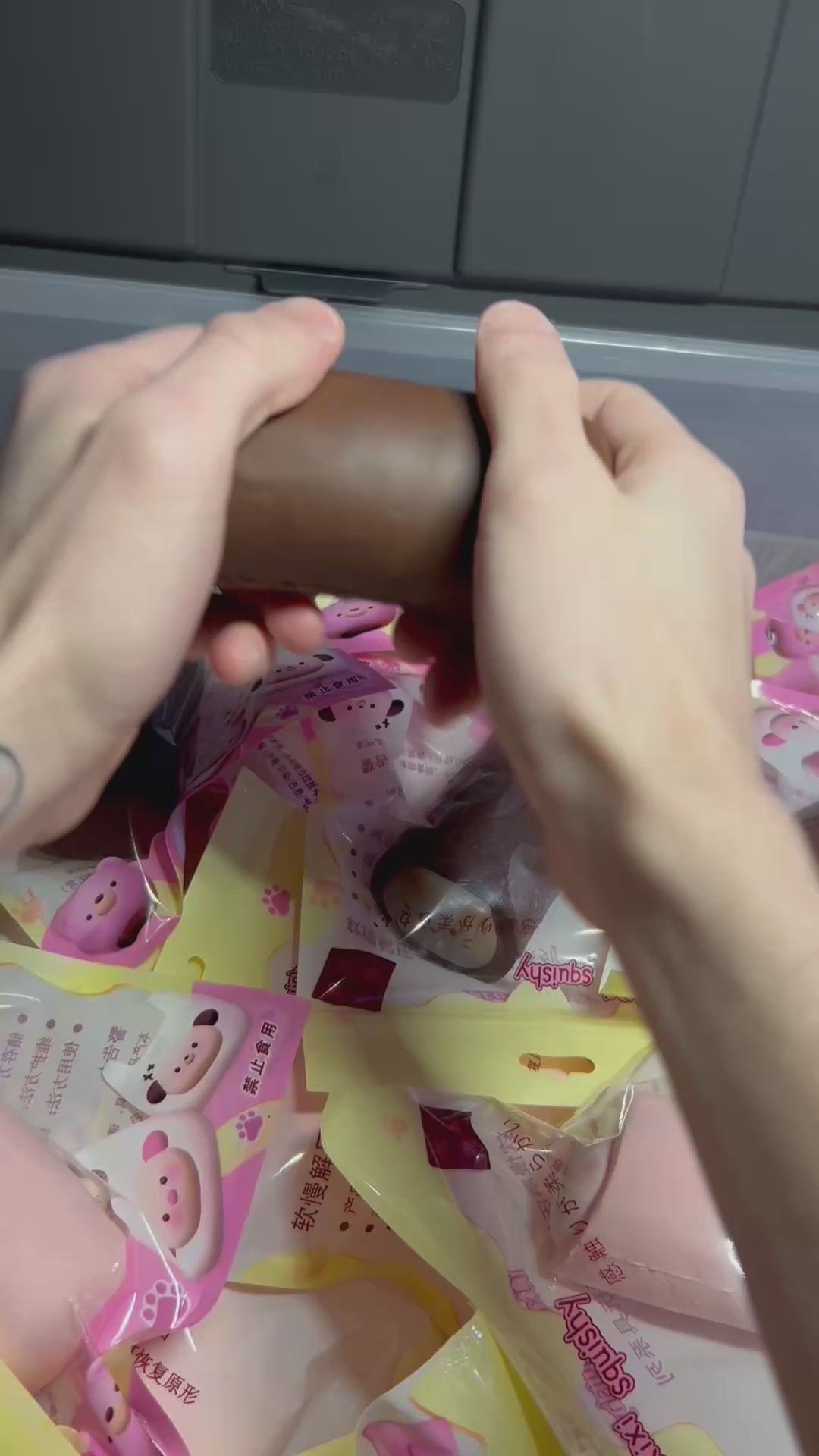 Cat Cakeroll Squishy