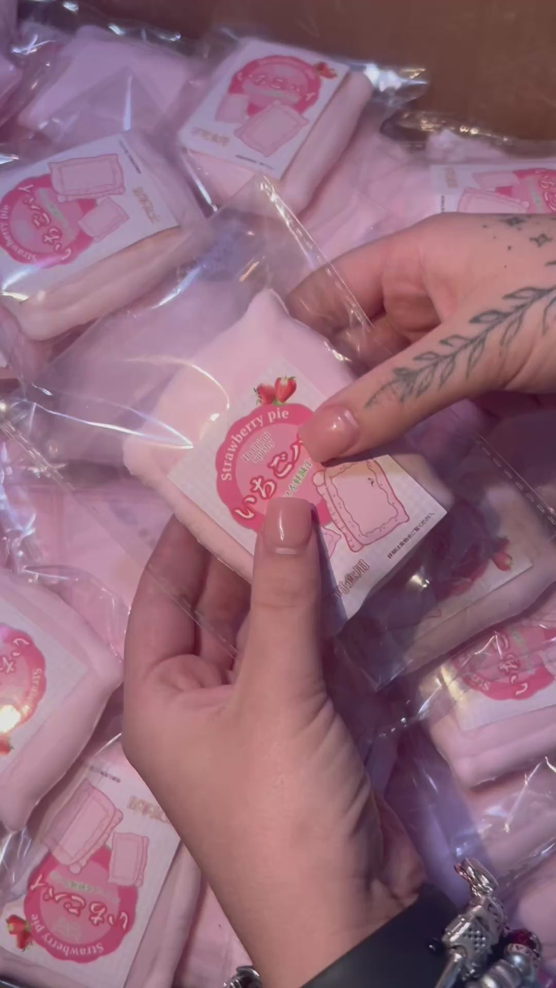 Strawberry Pie Squishy